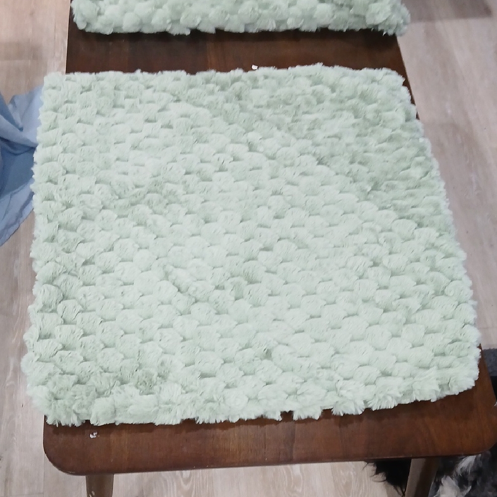 Luxurious Mint Green Plush Pillow Case
